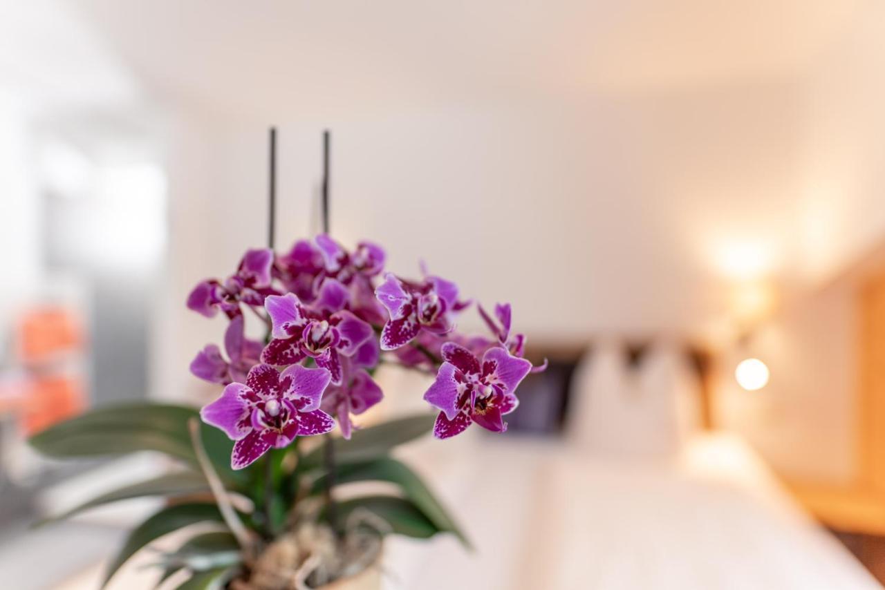 Wellnesshaus Reichelt Aparthotel Radstadt Exteriör bild